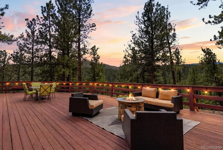 16687 Ouray Road W, Pine, CO 80470 - #2