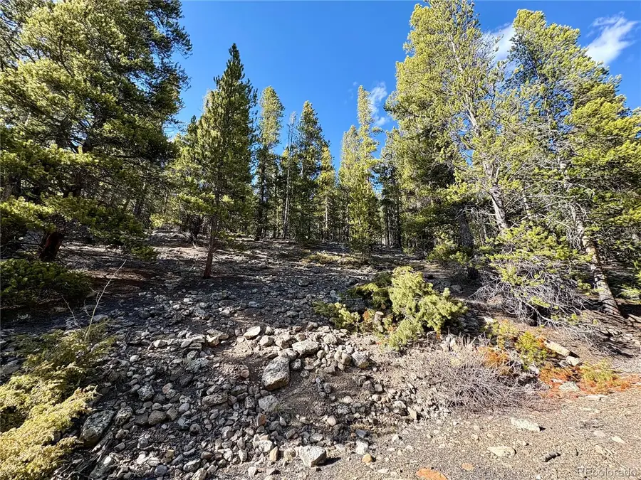5282 Roy, Leadville, CO 80461 - #2