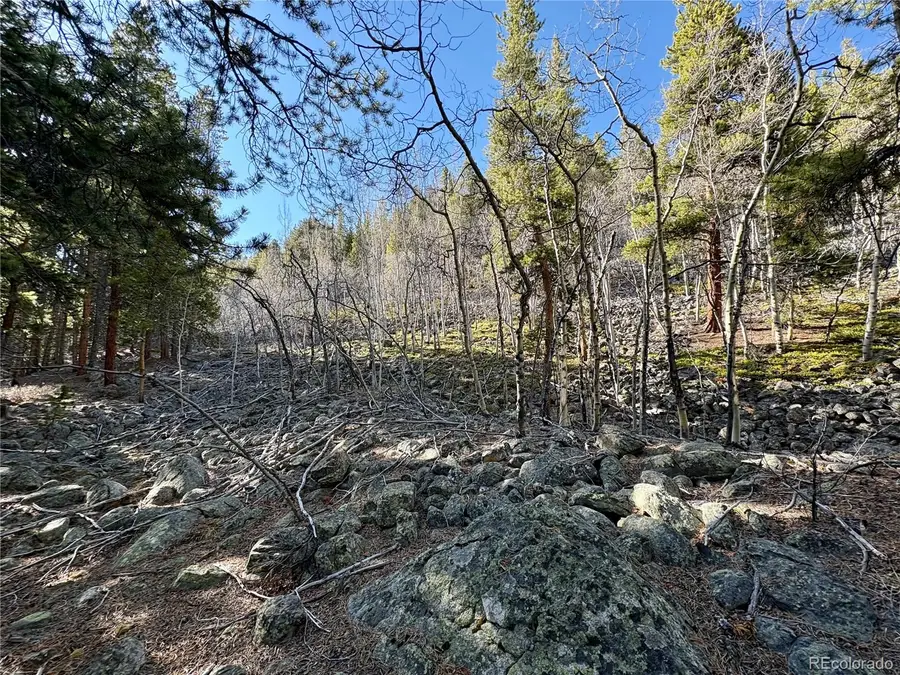 5282 Roy, Leadville, CO 80461 - #3