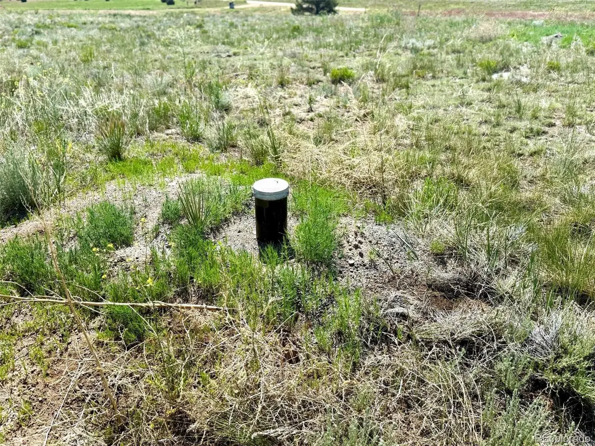 1888 19th Trail, Cotopaxi, CO 81223 - Image #1