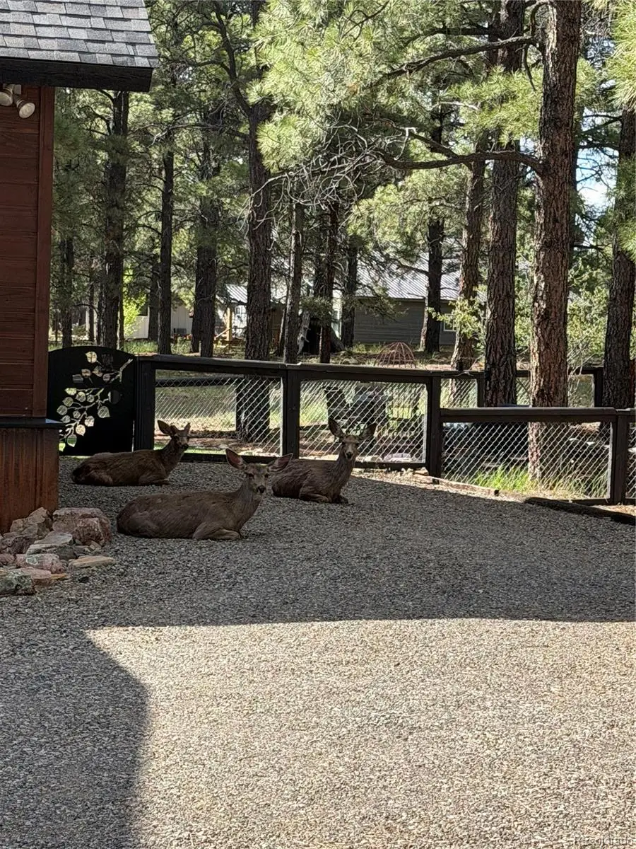 125 Teakwood Drive, Pagosa Springs, CO 81147 - #2