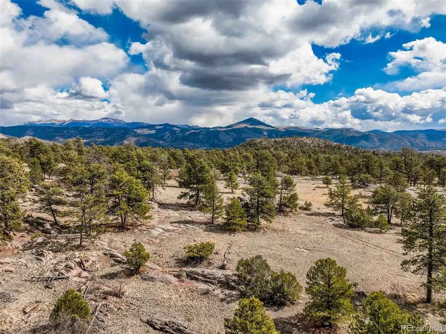 54 Ute Circle, Florissant, CO 80816 - #3