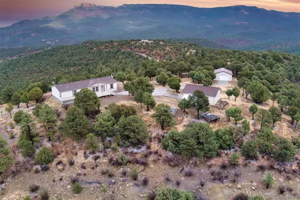 33171 Elk Park Road, Trinidad, CO 81082