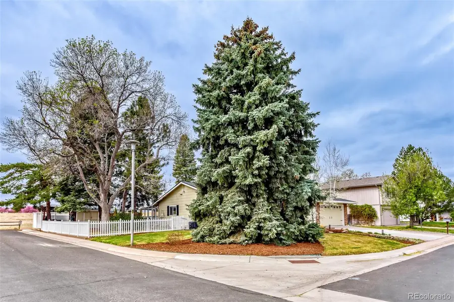 7398 S Costilla Street, Littleton, CO 80120 - #3