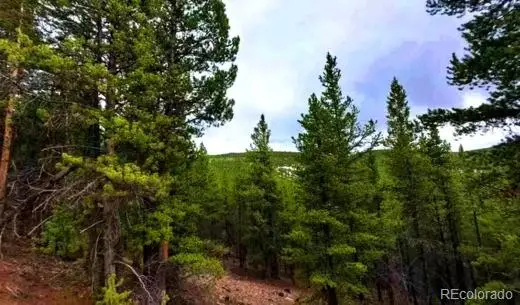 111 Fs Road 752.3b, Gunnison, CO 81231