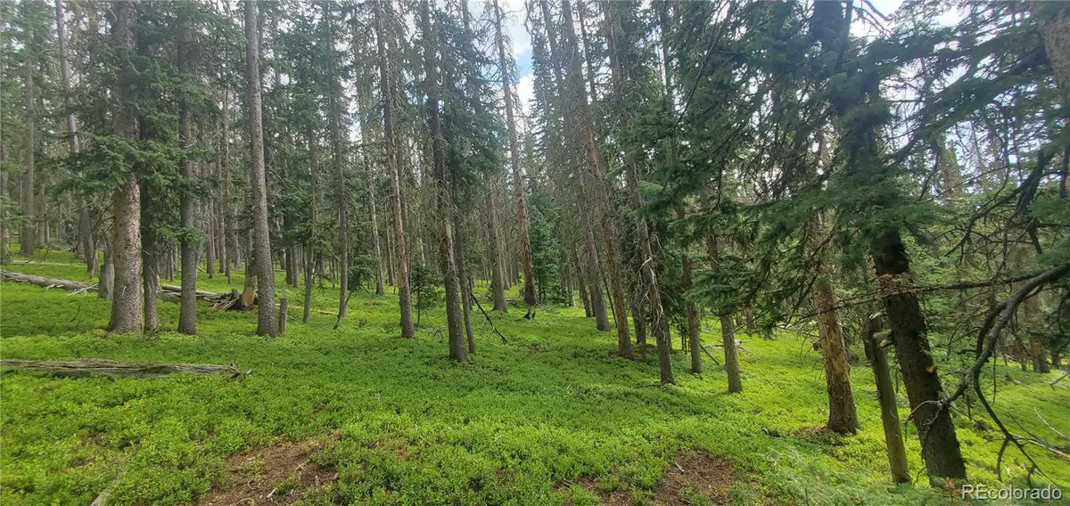 Lot 6542 Schlueter Road, Fort Garland, CO 81133 - #1