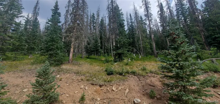 Lot 6542 Schlueter Road, Fort Garland, CO 81133 - #2