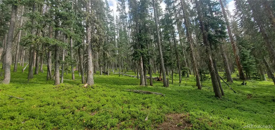 Lot 6542 Schlueter Road, Fort Garland, CO 81133 - #3