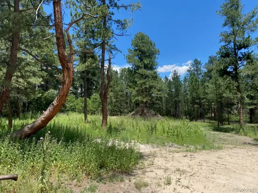 1025 Tenderfoot Drive, Larkspur, CO 80118 - #2