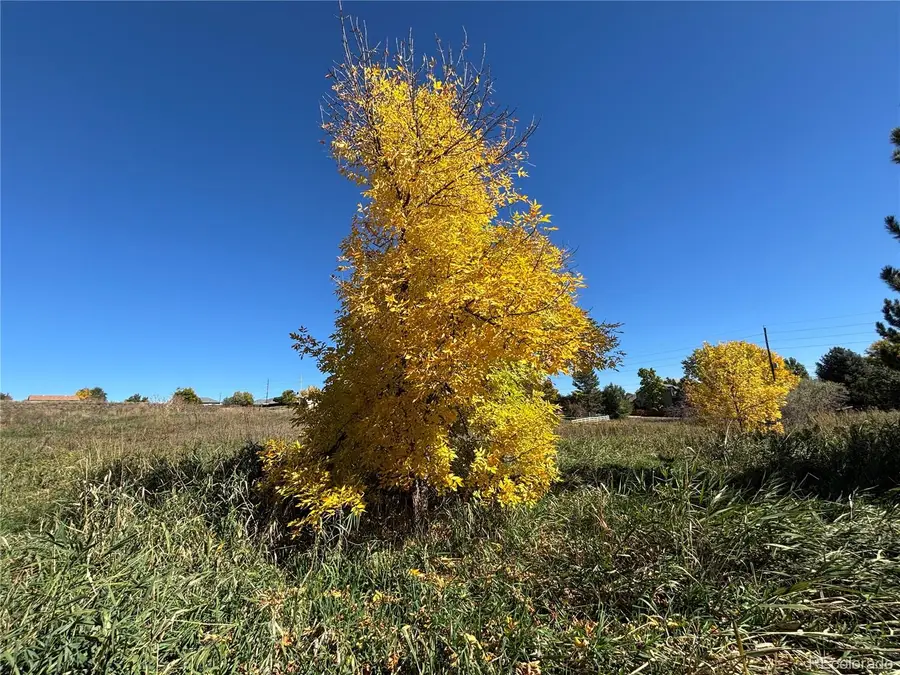 7873 S Carr Court, Littleton, CO 80128 - Image #3