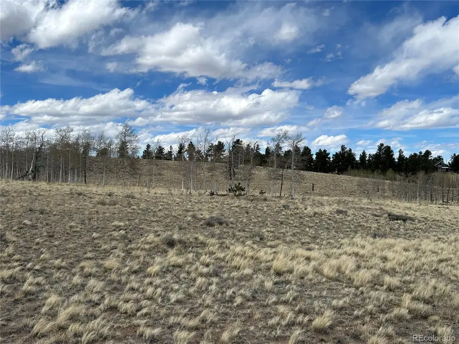 187 Angus Circle, Hartsel, CO 80449 - #3