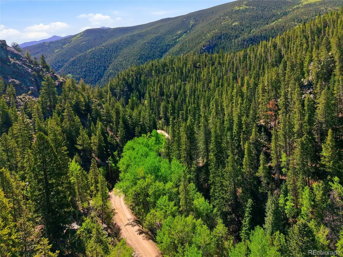 600 Ute Creek Road, Idaho Springs, CO 80452 - #1