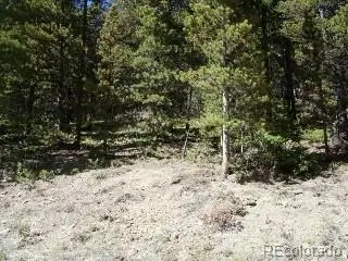 Lot 680 Alice Road, Idaho Springs, CO 80453