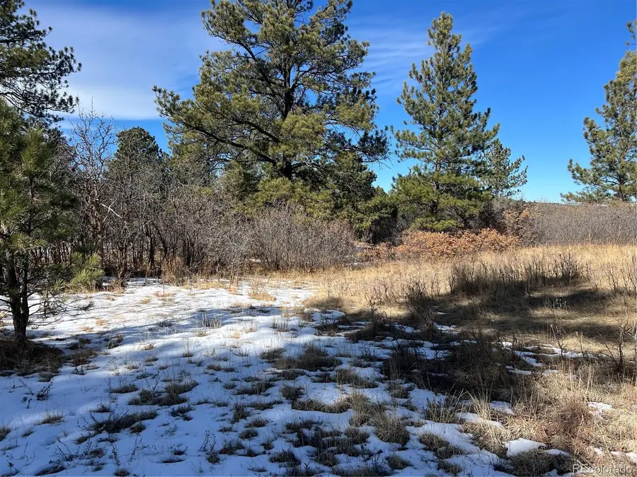 6764 Yampa Drive, Larkspur, CO 80118 - #2