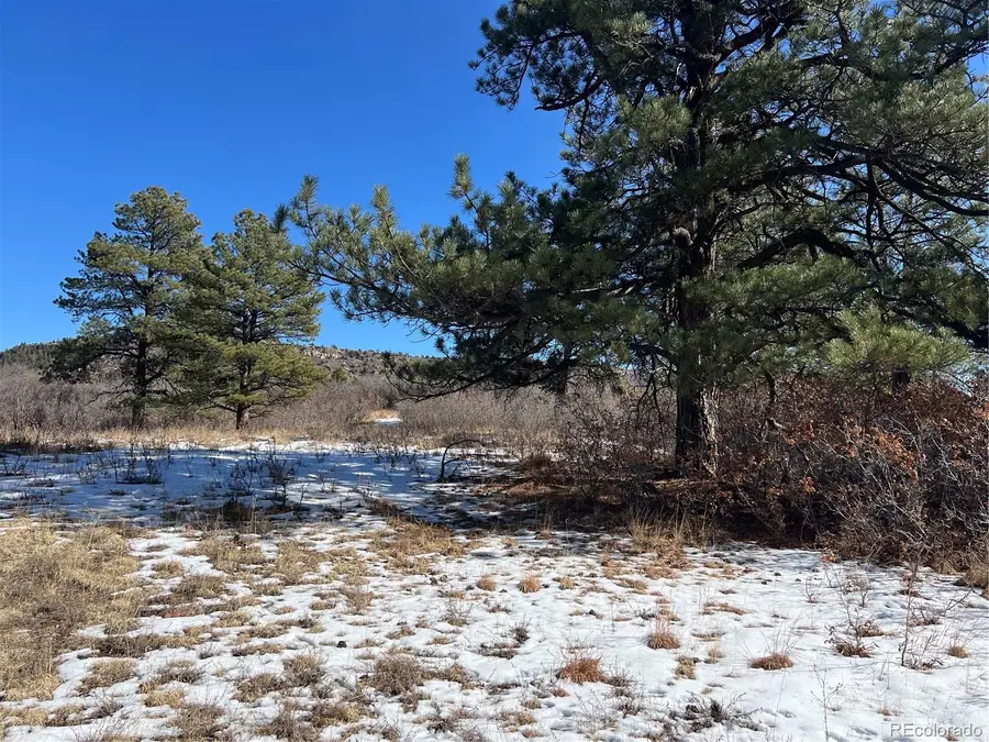 6764 Yampa Drive, Larkspur, CO 80118 - #3