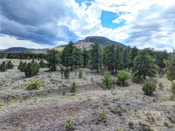 10050 County Rd 102, Guffey, CO 80820