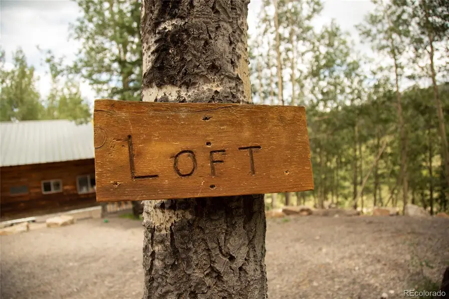1001 County Rd 17, Lake City, CO 81235 - #2
