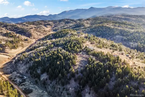 728 Little Topsey Drive, Cripple Creek, CO 80813