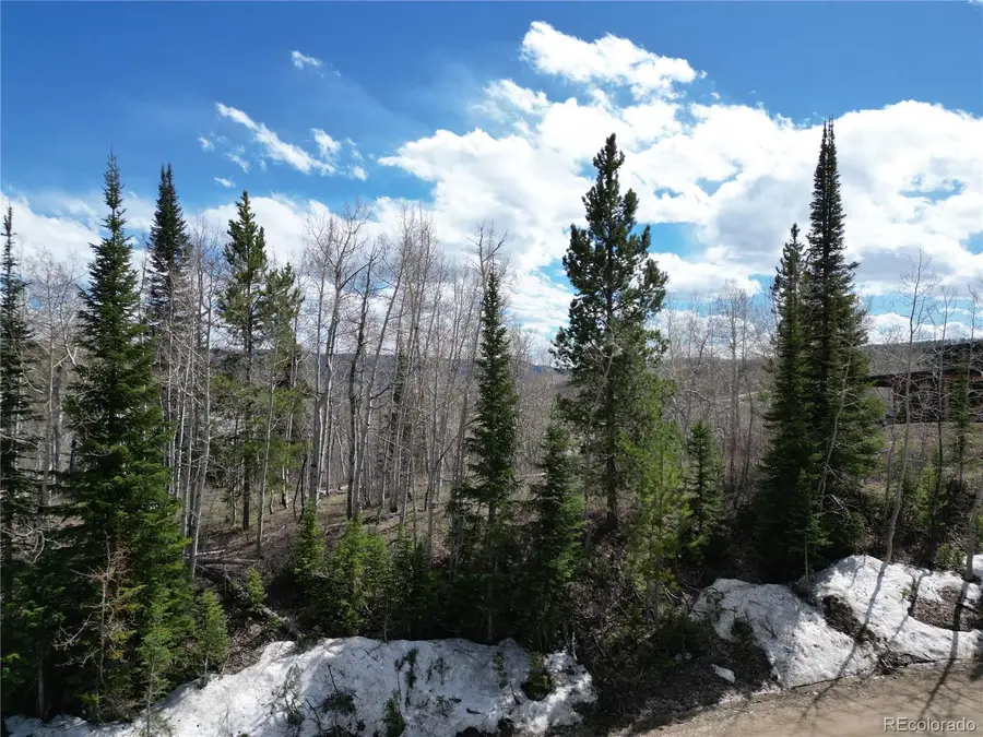 57960 Longfellow Way, Clark, CO 80428 - #3