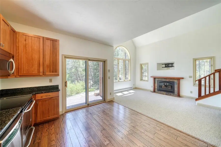 185 Lotus Lon Drive, Leadville, CO 80461 - #2