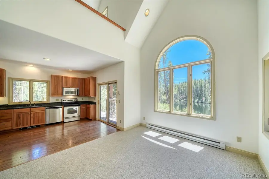 185 Lotus Lon Drive, Leadville, CO 80461 - #3