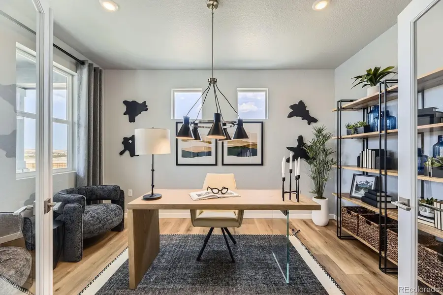13757 Daffodil Point, Parker, CO 80134 - #3