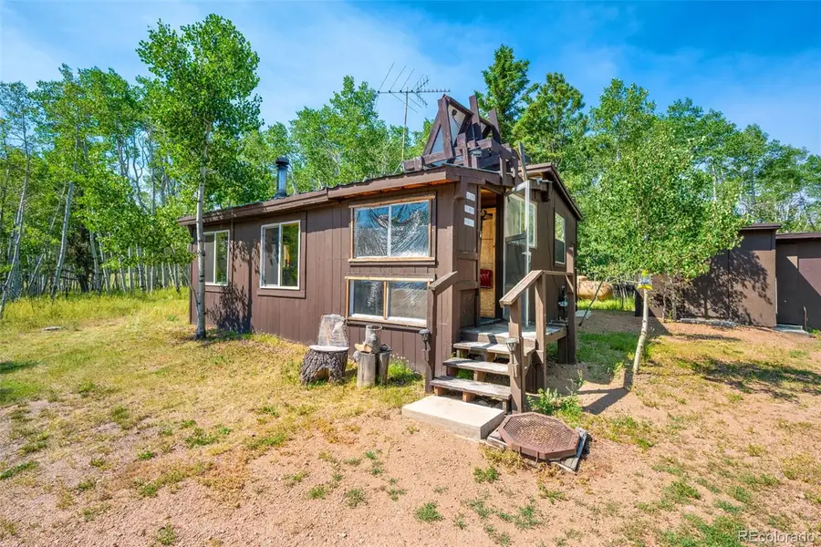 106 Forest Court, Florissant, CO 80816 - #3