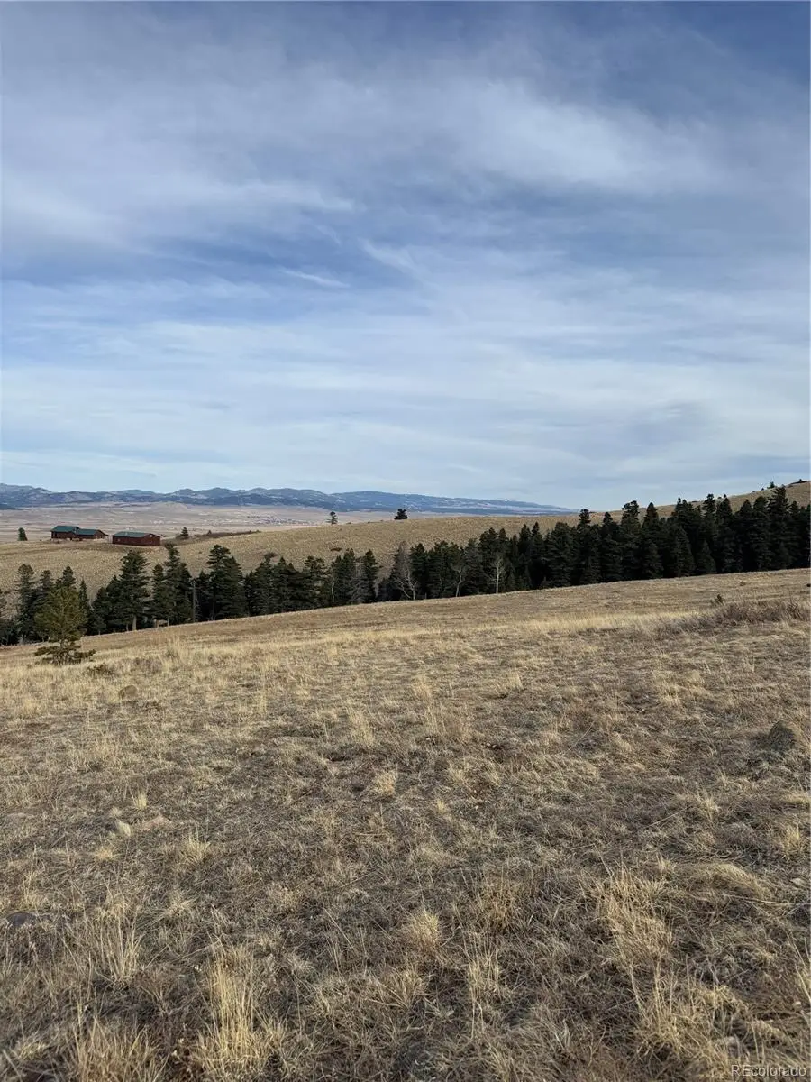 000 Louisiana Ridge, Westcliffe, CO 81252 - #1