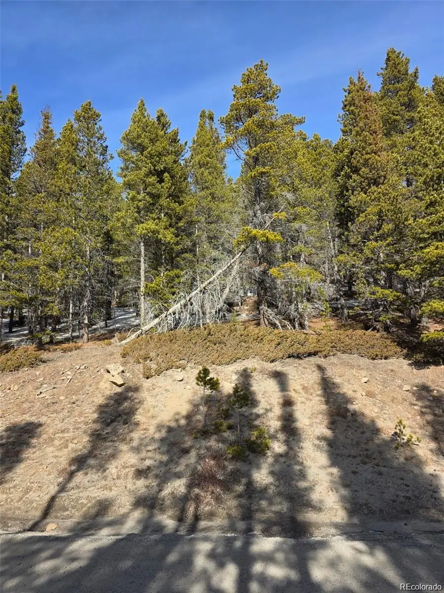 Lot 680 Alice Road, Saint Marys, CO 80453 - #2