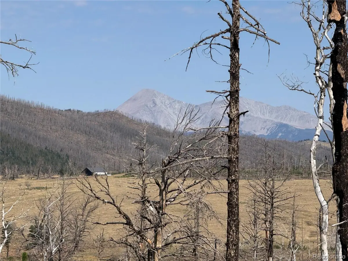 Lot 2499 Gilmartin Lane, Fort Garland, CO 81133 - #1
