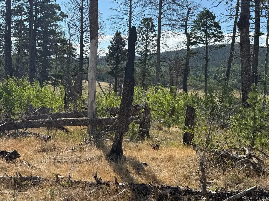 Lot 2499 Gilmartin Lane, Fort Garland, CO 81133 - #2