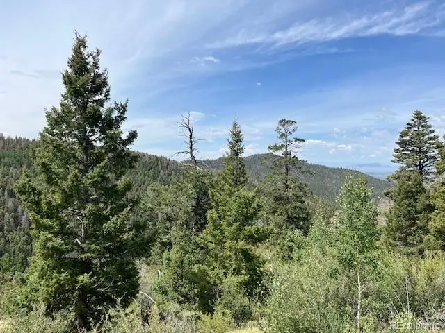 Lot 6076 Starkweather Road, San Luis, CO 81152 - #3