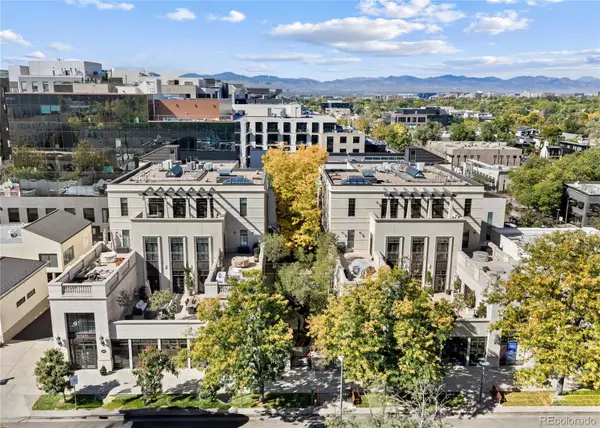 251 Steele #4N, Denver, CO 80206