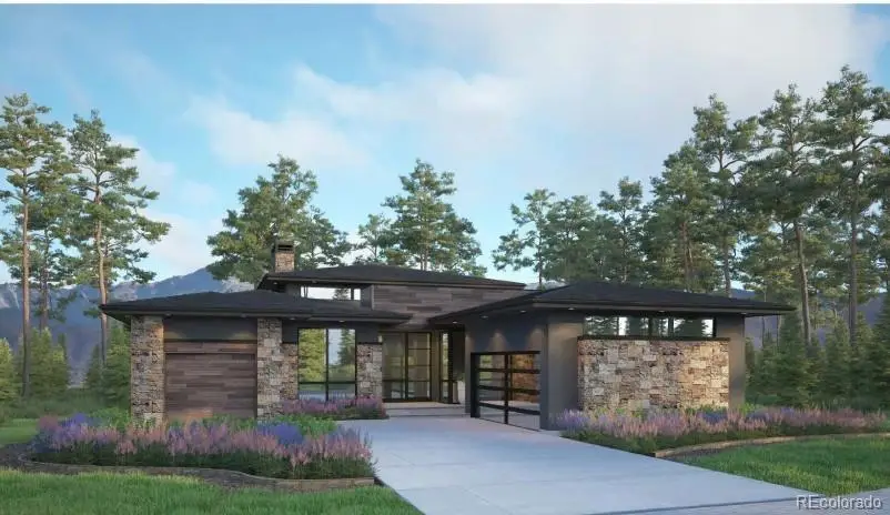 8099 Painted Pine Street, Parker, CO 80134 - #2