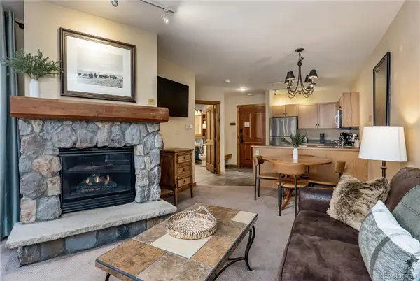 100 Dercum Square #8343, Dillon, CO 80435