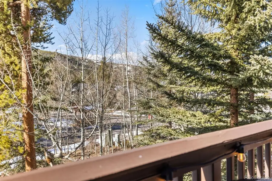 45 Trappers Crossing Trail #8754, Dillon, CO 80435 - #3
