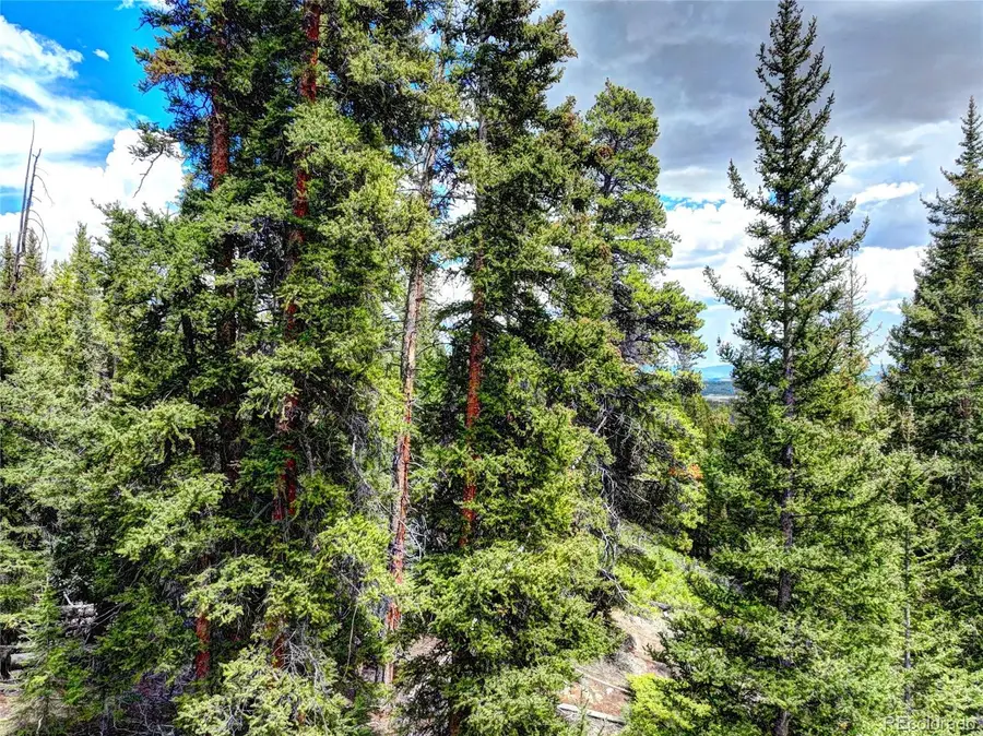 0 Dry Gulch Road, Fairplay, CO 80440 - #3