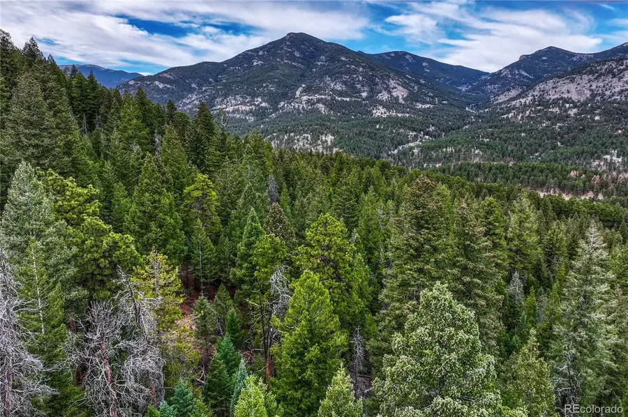 33864 Bergen View Trail, Evergreen, CO 80439 - #2