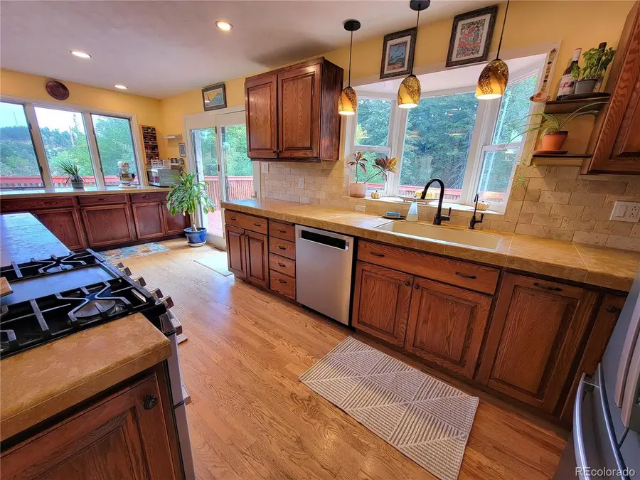 570 Columbine Avenue, Golden, CO 80401 - #3