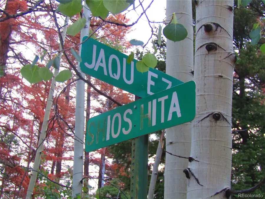 LOT 6447 Shoshita Road, San Luis, CO 81152 - #3