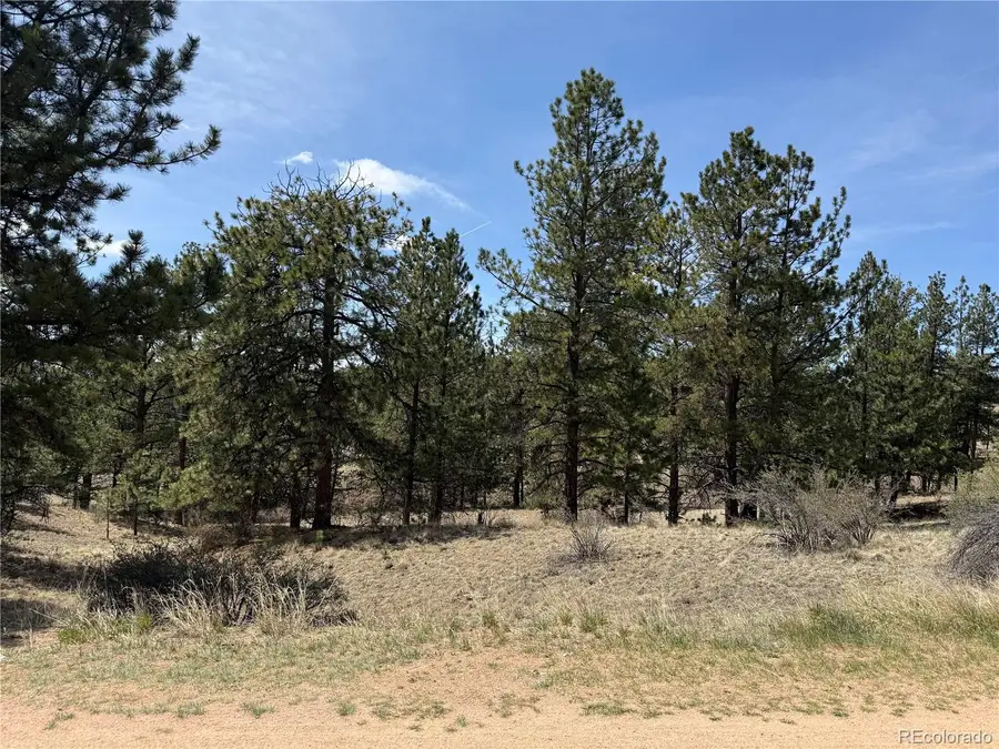 99 Cheyenne Way, Florissant, CO 80816 - #2