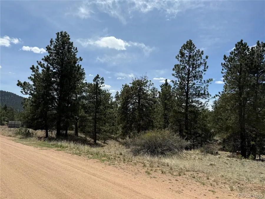 99 Cheyenne Way, Florissant, CO 80816 - #3