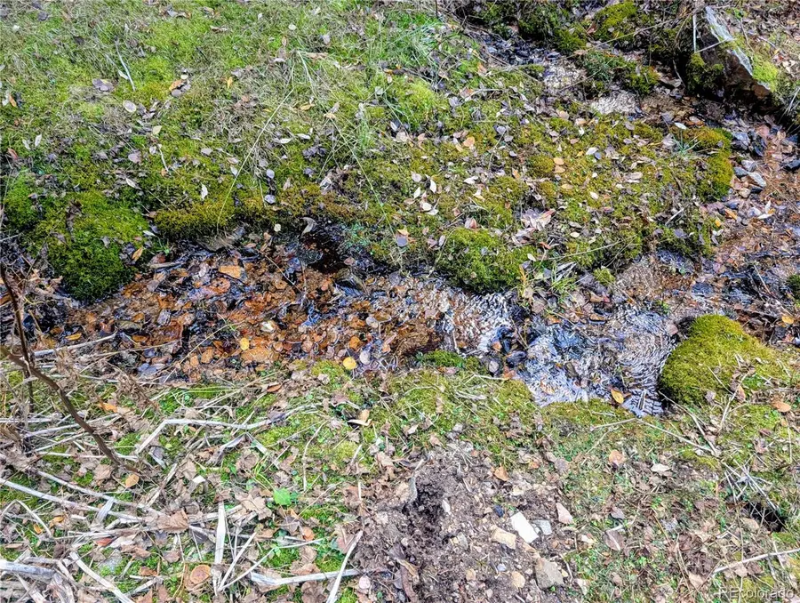 48 Acres Forbes Road, Fort Garland, CO 81133 - Image #2