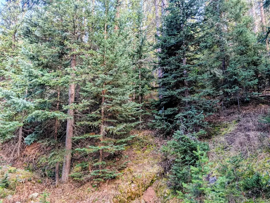 48 Acres Forbes Road, Fort Garland, CO 81133 - Image #3