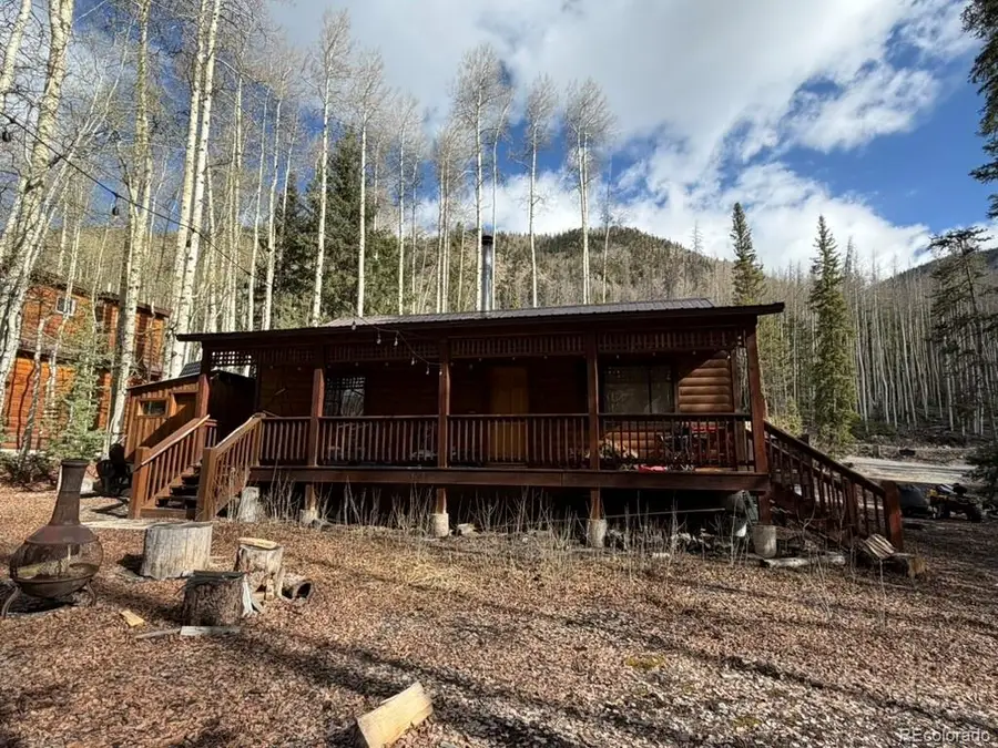 25981 County Road 162 E, Nathrop, CO 81236 - #2