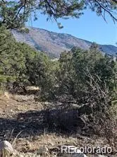 148 Lake Of The Falls Parkway, Mosca, CO 81146 - #1