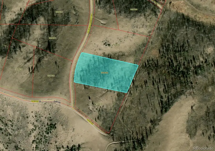 LOT 7726 De Montalambert Road, Fort Garland, CO 81133 - #2