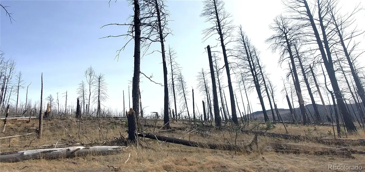 Lot 1224 Emery Loop, Fort Garland, CO 81133 - #1