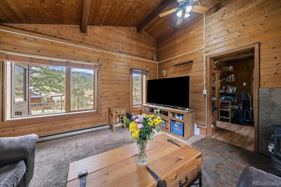 92 Prospectors Way, Bailey, CO 80421 - #3