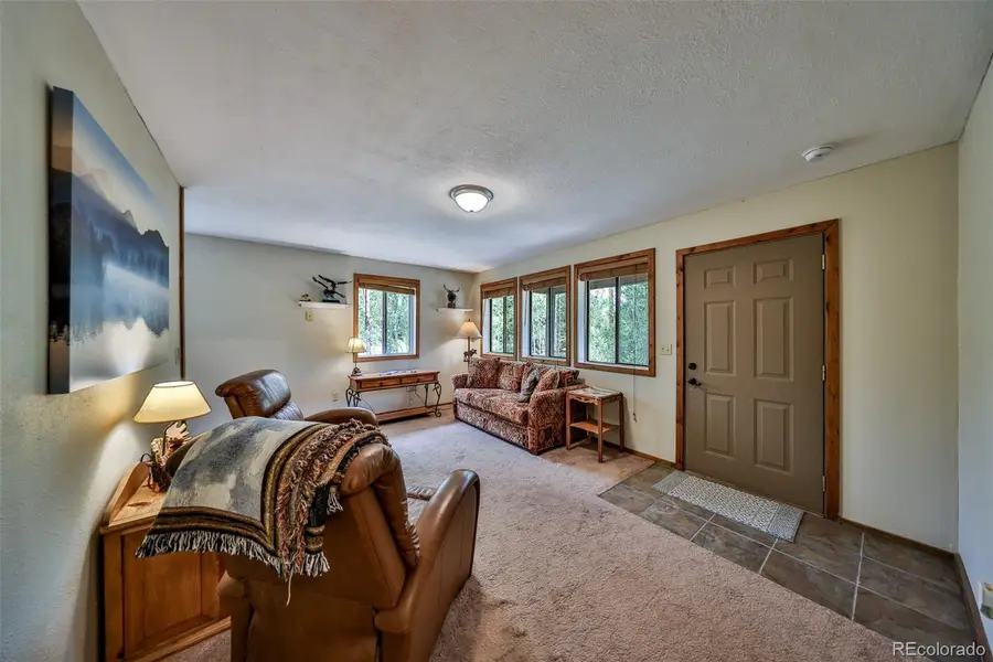1239 Western Road, Grand Lake, CO 80447 - #3
